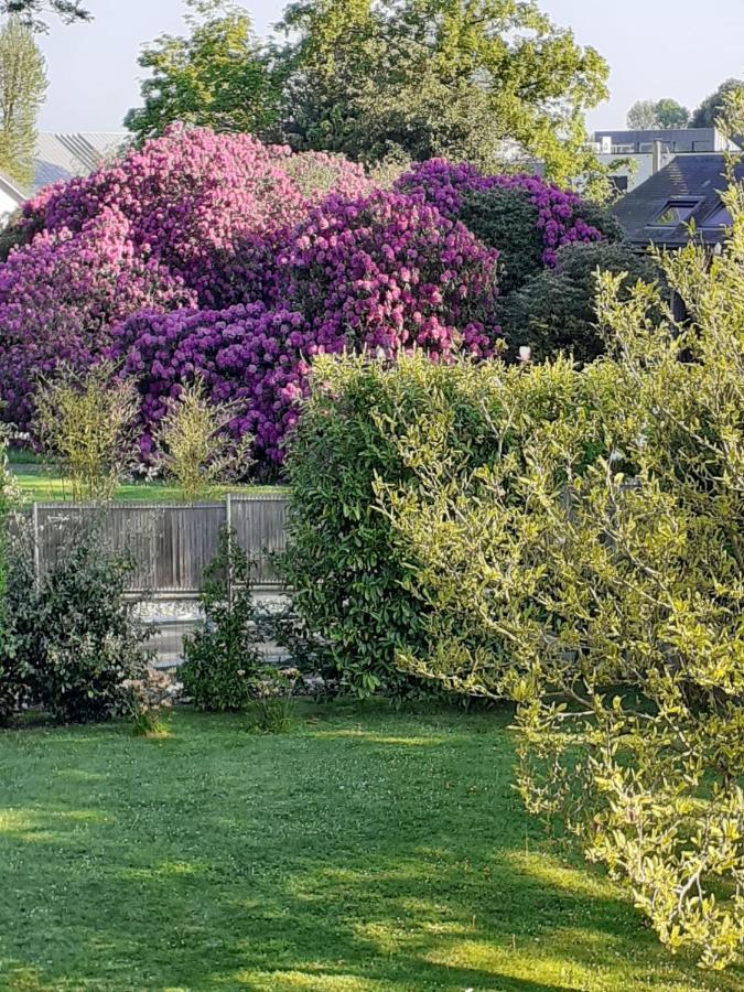 Bed and Breakfast Manoir De L'As De Trefle Isneauville Exterior foto